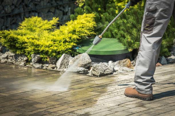 Best Boat and Dock Cleaning  in Bovina, TX